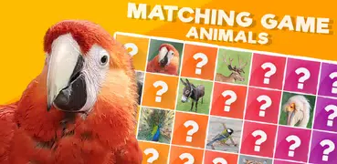 Jogo da Memória: Animais