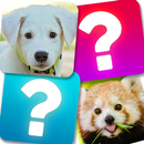 Match Game: Animals APK