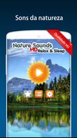 Sons da natureza Cartaz