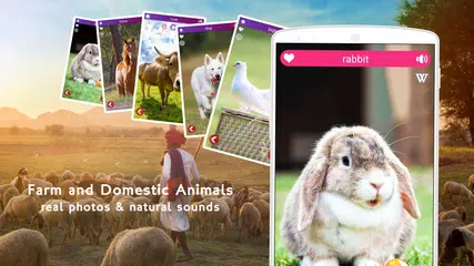 Farm Animal Sounds APK  for Android – Download Farm Animal Sounds APK  Latest Version from 