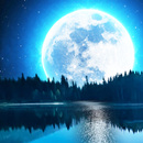 Âm nhạc thư giãn APK