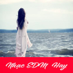 EDM Hay Offline Music