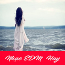 EDM Hay Offline Music APK