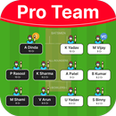 Dream Team 11 APK