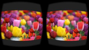 VR Player Plakat