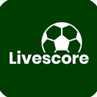 Sports Livescore & News-icoon