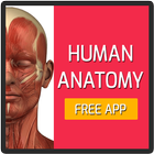 Human Anatomy Free App icono