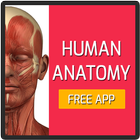 Human Anatomy Free App ikona