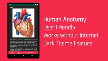 Human Anatomy Free App स्क्रीनशॉट 2