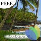 Hawaiian Waves HD Video Free icône