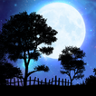 'Nightfall Live Wallpaper' MY