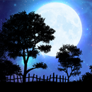 Nightfall Live Wallpaper Free-APK