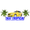 Taxi Tropical Conductor APK