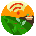 WebCampo