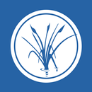 The Lakes Castle Hills APK