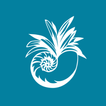 Seabrook Island Club