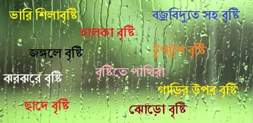 Bangla Rain Sounds