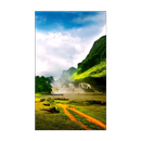 1000 Portrait Wallpapers APK
