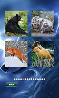 برنامه‌نما Animals Jigsaw Puzzle عکس از صفحه