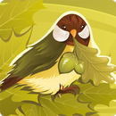 Autumn Sequence APK