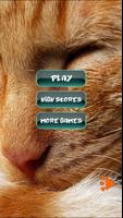 Cat Favourite Puzzles poster