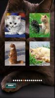 Cat Favourite Puzzles ảnh chụp màn hình 1