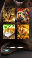 Cat Favourite Puzzles ảnh chụp màn hình 3