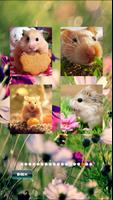 Hamster Pet Puzzles screenshot 3