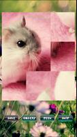 Hamster Pet Puzzles poster