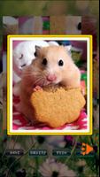 Hamster Pet Puzzles screenshot 1