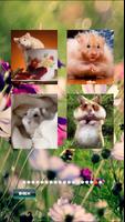 Hamster Pet Puzzles screenshot 2