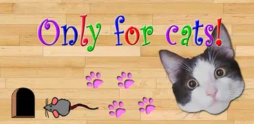 Only for Cats