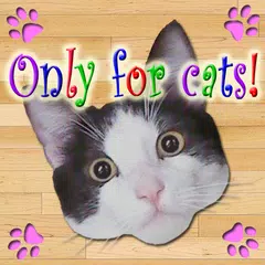 Only for Cats APK download