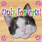 Only For Cats icône