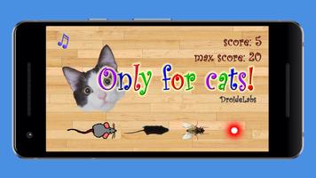 Only For Cats Affiche