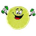 Lime Money 2020 _ make money