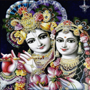 Jaya Janardhana Krishna with Lyrics-APK