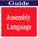 APK Assembly Language