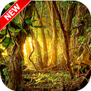 Jungle Wallpaper HD APK