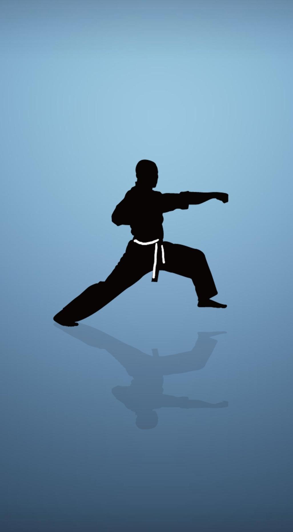 Tải xuống APK Hình nền Karate 4k. cho Android