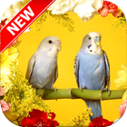 Parrot Wallpapers ไอคอน