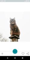Cat-a-log poster