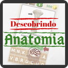 Descobrindo Anatomia icône