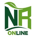 Dr Najm Rehan online