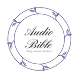 Audio Bible, Daily Bible Verse icono