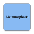 The Metamorphosis
