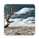 Dry Tree Wallpaper APK