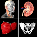 Anatomy Quiz Pro APK