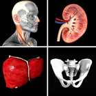 Anatomy Quiz Pro biểu tượng