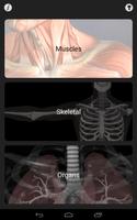 Anatomy Quiz Pro पोस्टर